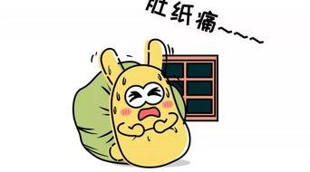 吃瓜群众看球,吃瓜群众视角下的激情足球盛宴