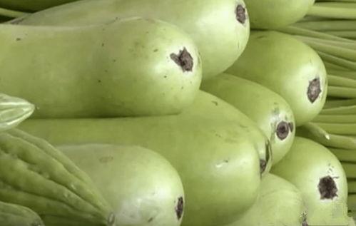 炒菜吃的葫芦瓜,葫芦瓜炒菜，营养与口感并存