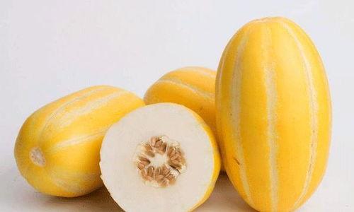 没事就爱整点瓜吃,揭秘“没事就爱整点瓜吃”的趣味人生