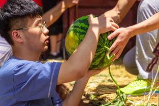 各高校吃瓜视频