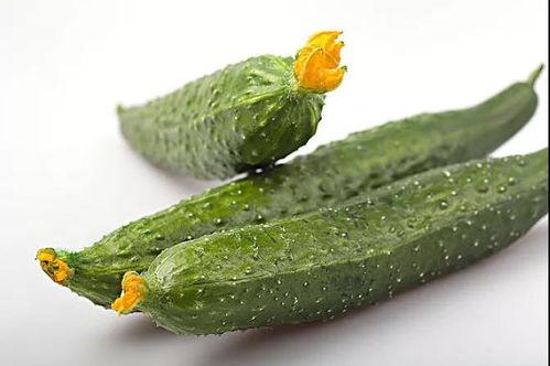 宿舍多人吃瓜,揭秘多人吃瓜的欢乐时光