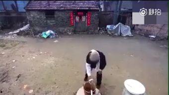 老人吃瓜视频,老人吃瓜视频，欢乐时光尽在掌握