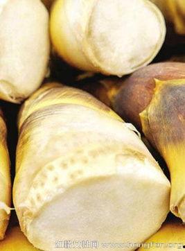 做瓜花教程瓜尖怎么吃,瓜花教程中的创意料理揭秘