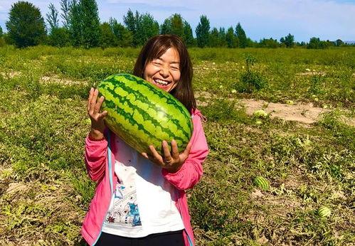 小康吃瓜视频在线观看