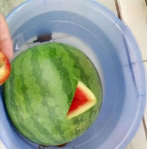 吃瓜搞怪头像图文