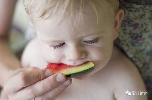 儿童吃瓜主题推荐,儿童吃瓜盛宴，解锁清凉快乐时光