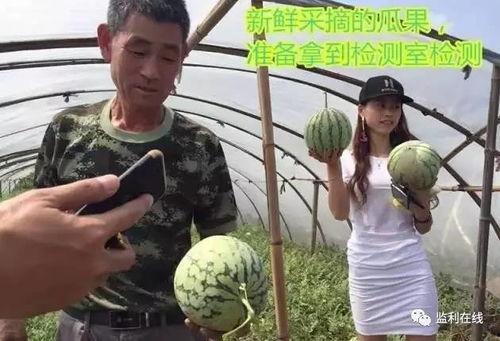 吃瓜在哪直播,带你走进直播间的欢乐世界