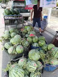 郑州摄影吃瓜事件