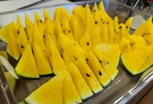 锅姨吃瓜,揭秘娱乐圈那些不为人知的幕后故事