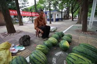 60岁老吃瓜,揭秘老年生活里的趣味与智慧