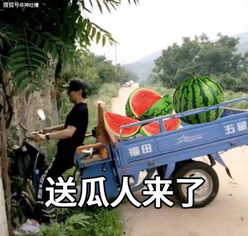 走了走了吃瓜上车,吃遍美食，上车即享旅途风光