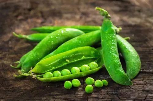 丑瓜吃豆人,一场奇妙的冒险之旅