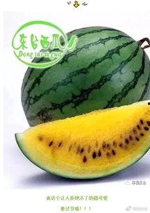 吃瓜群众请接瓜,揭秘娱乐圈那些不为人知的幕后故事