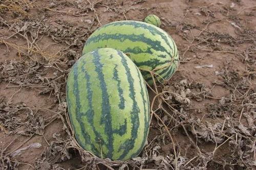 吃瓜群众请接瓜,揭秘娱乐圈那些不为人知的幕后故事