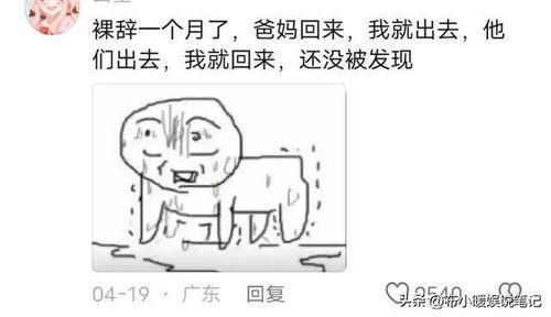 网友吃瓜交流,娱乐圈最新瓜料大揭秘！