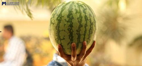 网友吃瓜交流,娱乐圈最新瓜料大揭秘！