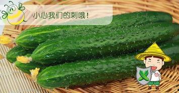 吃瓜配图片,跟随图片探寻美食背后的故事