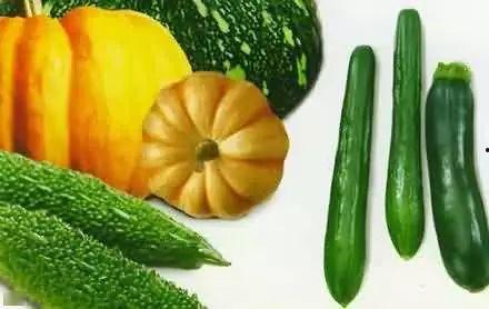 南加州吃瓜,瓜界盛事，品味生活新风尚