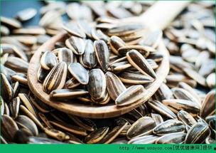 吃瓜和吃瓜子哪个好,探寻夏日消暑美食的优劣