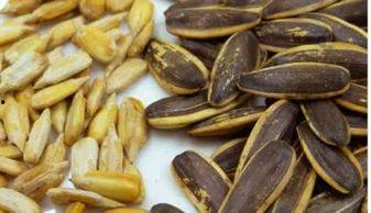 吃瓜和吃瓜子哪个好,探寻夏日消暑美食的优劣