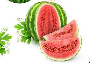 玖弦吃瓜,揭秘娱乐圈幕后真相