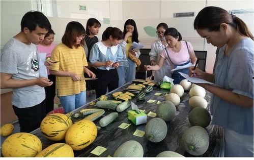 窗 吃瓜,揭秘生活百态