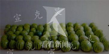 深夜吃瓜的好处,揭秘生活百态的奇妙之旅