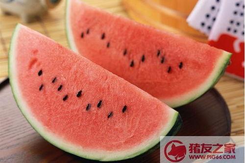 吃瓜卡路里,轻松了解日常饮食中的热量消耗