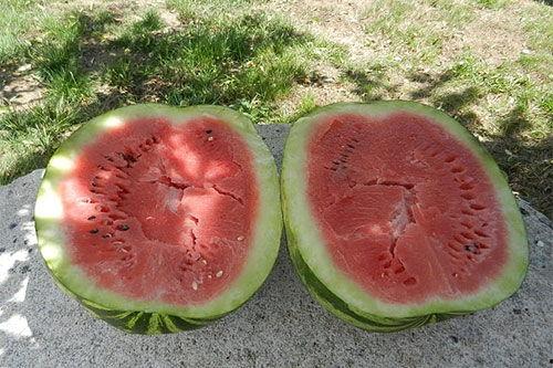 梦见买瓜给领导吃