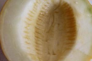 河套密瓜怎么吃