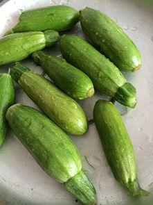 喜欢吃角瓜,探寻舌尖上的独特风味