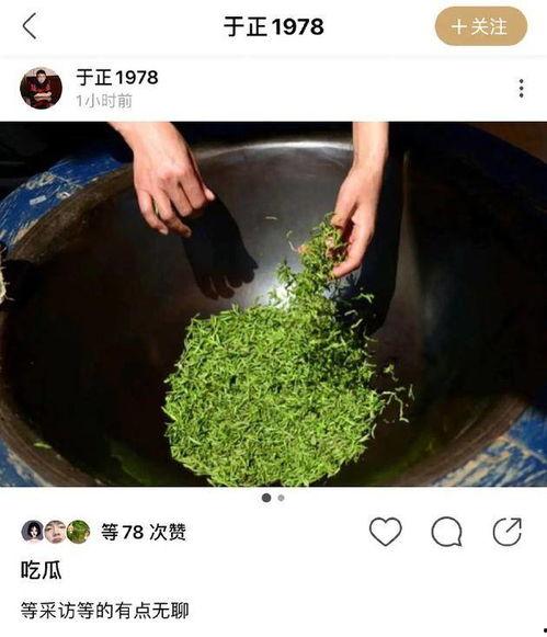 绿茶吃瓜,揭秘绿茶界的趣味故事与热点事件