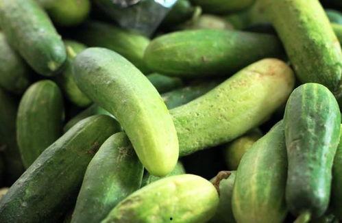 七瓜怎么吃,解锁夏日清凉新体验