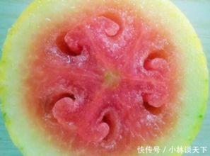 颜女士吃瓜,一场吃瓜盛宴背后的故事